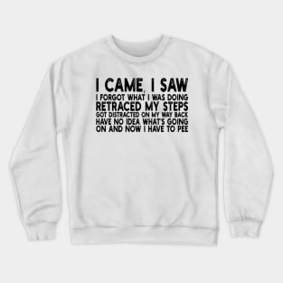 i came, i saw i forgot what i was doing retraced my steps got distracted on my way back have no idea what's going on and now i have to pee Crewneck Sweatshirt
